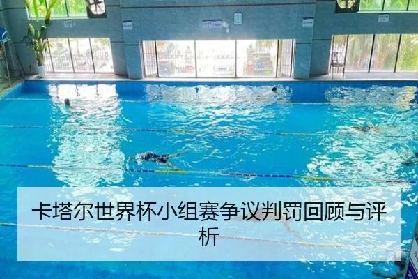 卡塔尔世界杯小组赛争议判罚回顾与评析