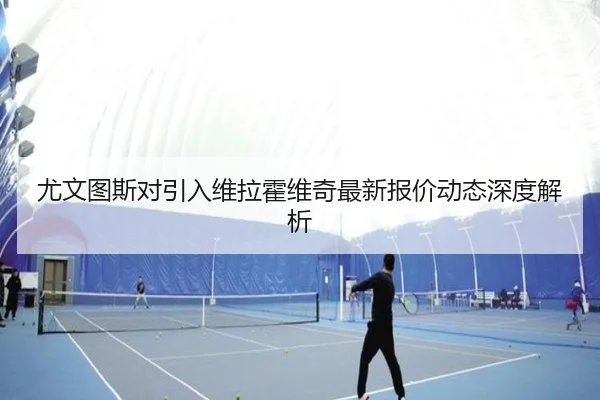 尤文图斯对引入维拉霍维奇最新报价动态深度解析